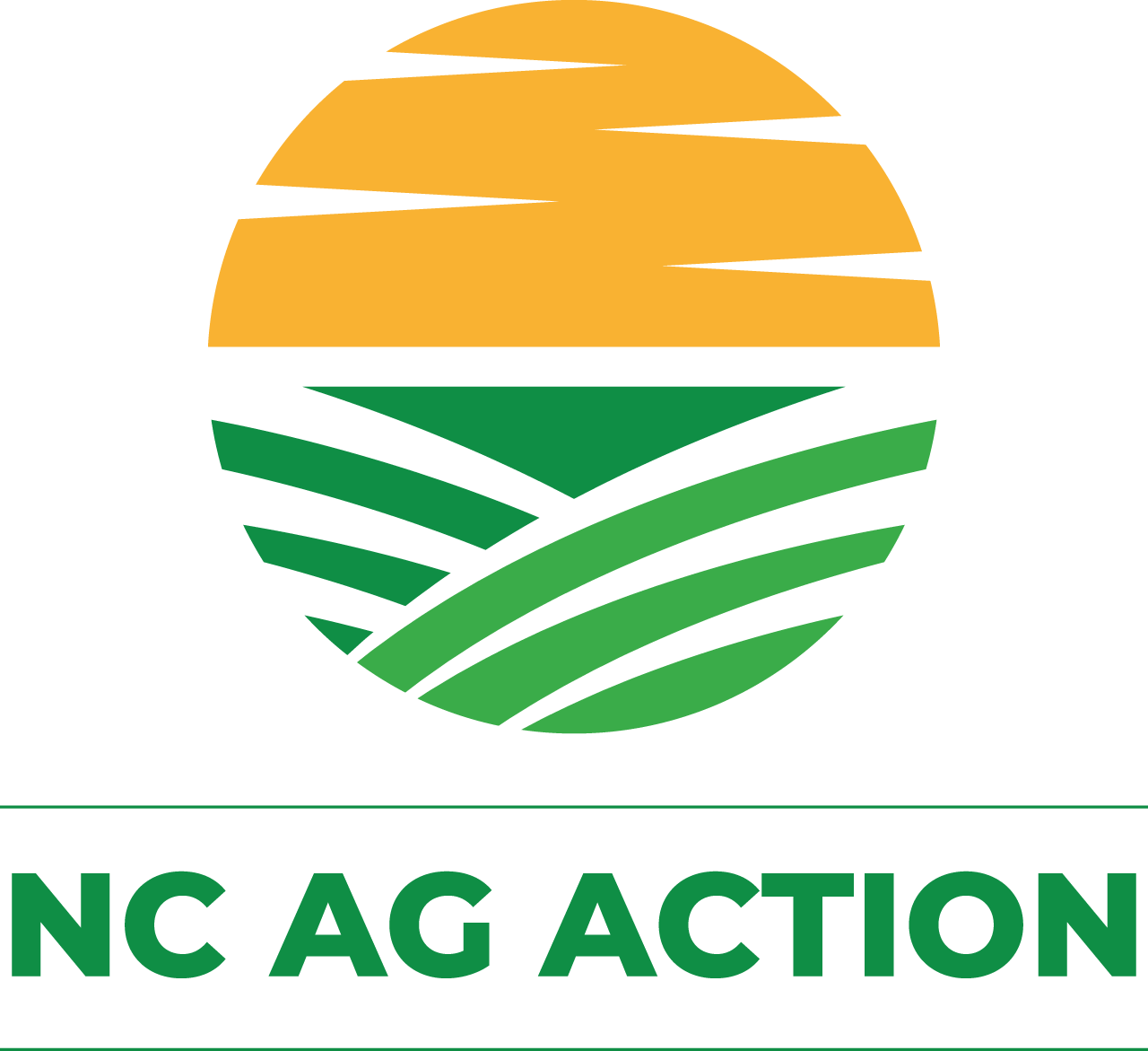 NG AG Action